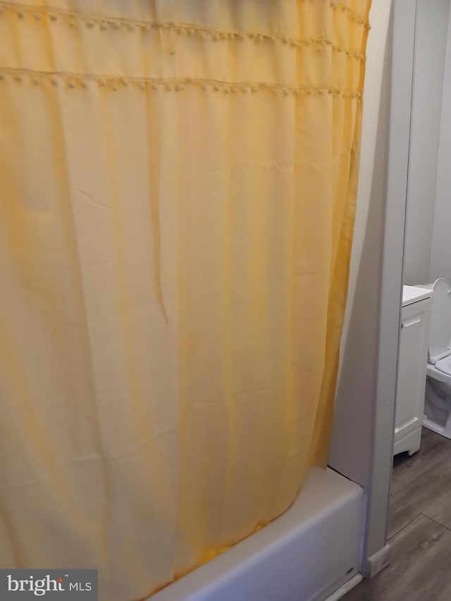 bathroom featuring toilet, vanity, and hardwood / wood-style flooring