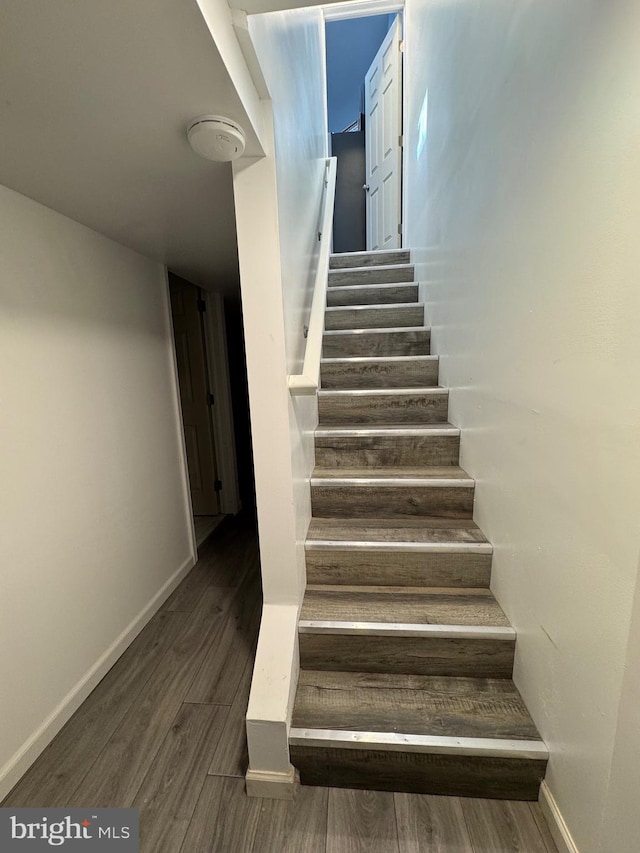 staircase featuring wood-type flooring