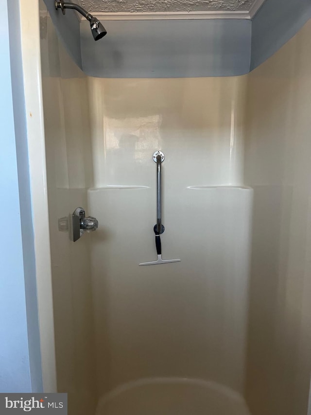 room details featuring a shower