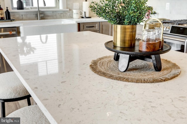 details featuring sink, stainless steel range with gas stovetop, and backsplash