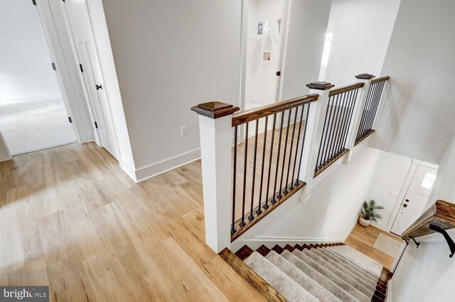 staircase featuring wood-type flooring