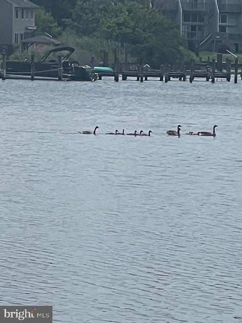253 Jessica Lynn Ave, Stevensville, MD 21666 - water view