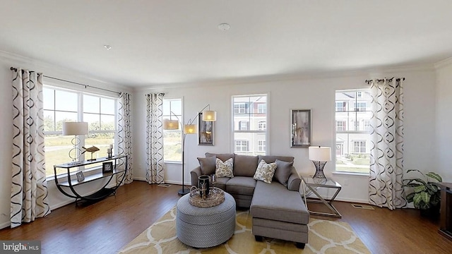 living room with crown molding and dark wood-type flooring