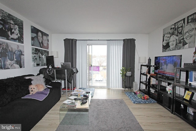 living room featuring wood-type flooring