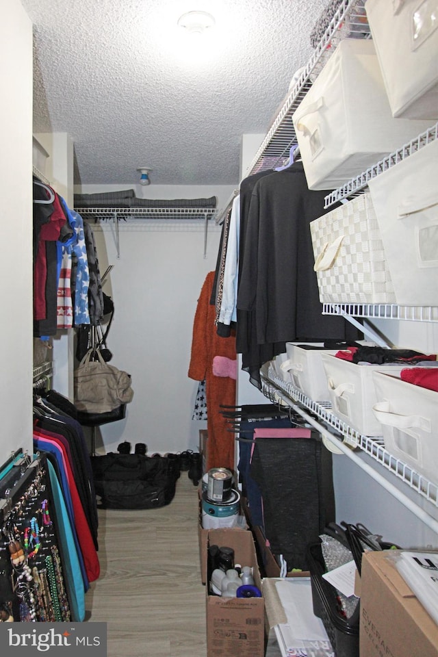 spacious closet with hardwood / wood-style flooring