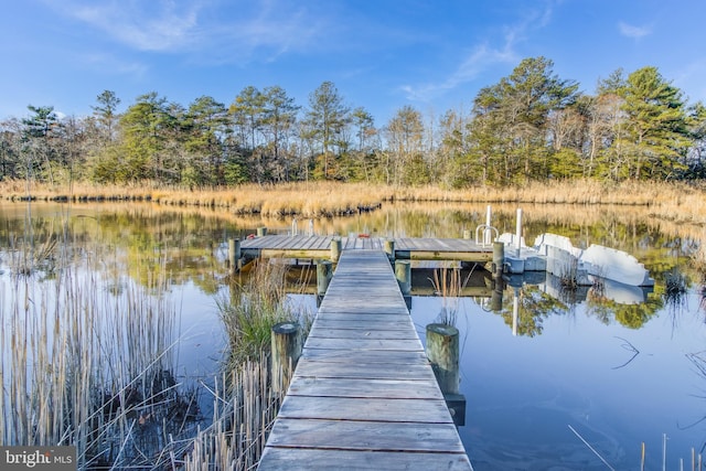 view of dock featuring a water view