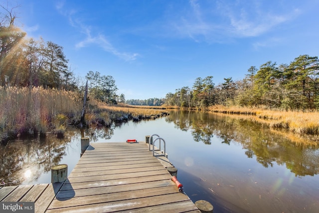 dock area with a water view