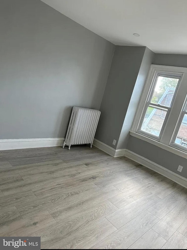 bonus room with light hardwood / wood-style floors