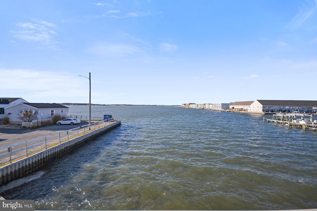 dock area featuring a water view