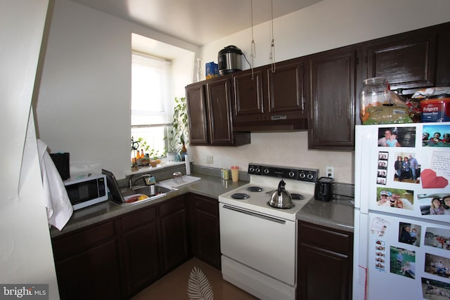 kitchen featuring dark brown cabinetry, white appliances, and sink