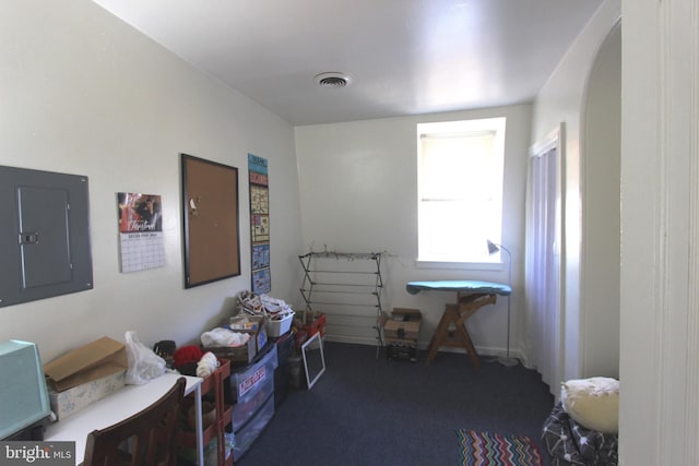 miscellaneous room with electric panel and carpet