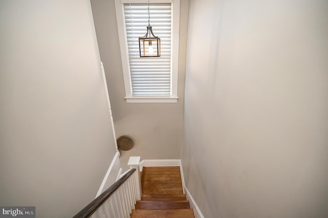 stairs featuring hardwood / wood-style flooring