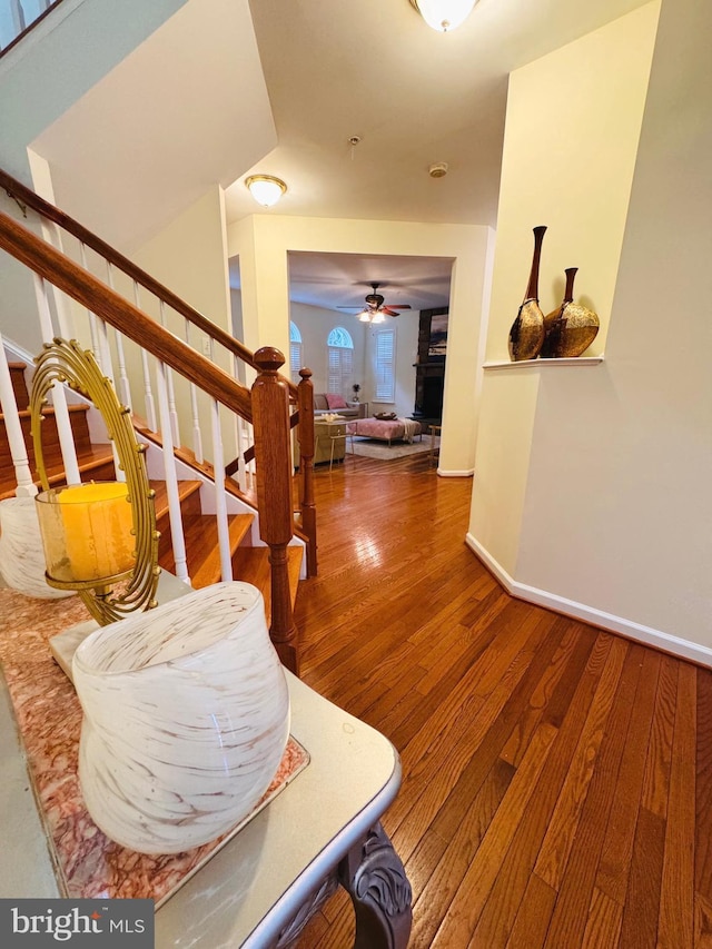 stairs featuring ceiling fan and wood-type flooring