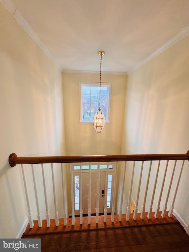 stairway with an inviting chandelier, ornamental molding, and hardwood / wood-style flooring