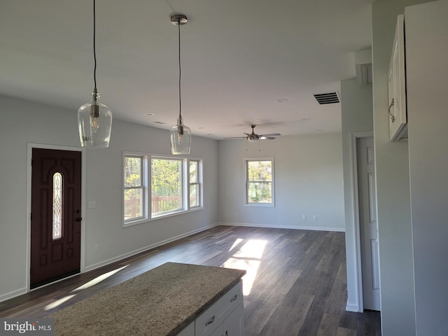 interior space with ceiling fan and dark hardwood / wood-style floors