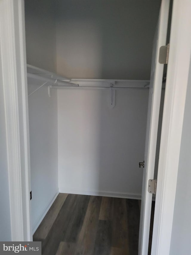 view of closet