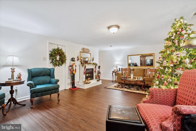 living room featuring hardwood / wood-style flooring