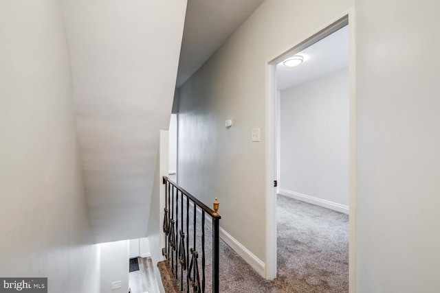 staircase featuring carpet flooring