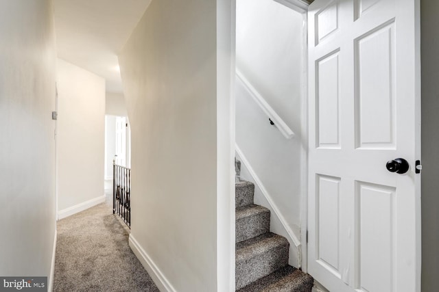 staircase with carpet