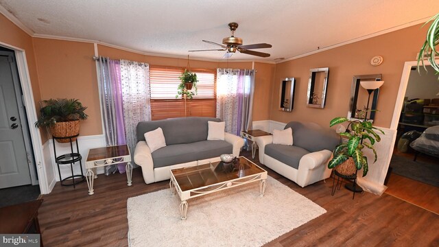 living room with a textured ceiling, ceiling fan, ornamental molding, and dark wood-type flooring