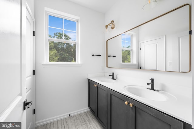 bathroom featuring vanity and a healthy amount of sunlight