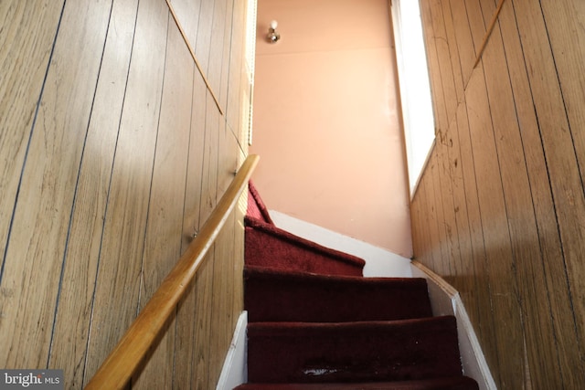 stairway with wooden walls