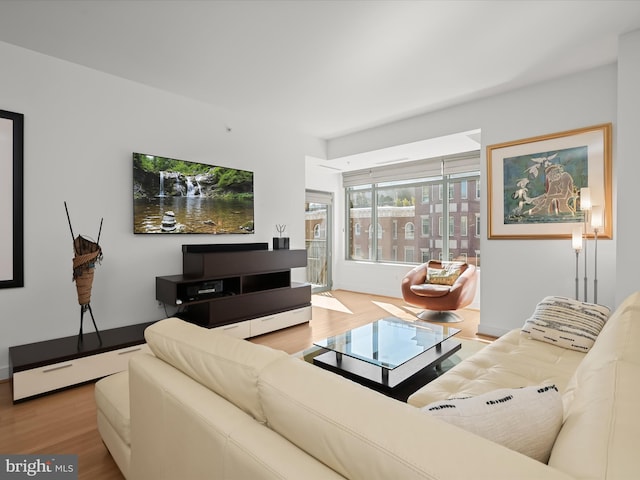 living room featuring wood finished floors