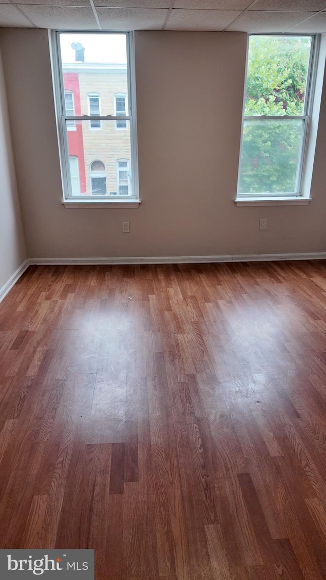 spare room featuring a paneled ceiling and hardwood / wood-style floors