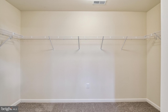 walk in closet with carpet