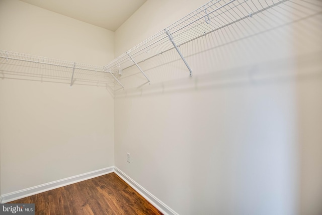 walk in closet featuring dark wood-type flooring