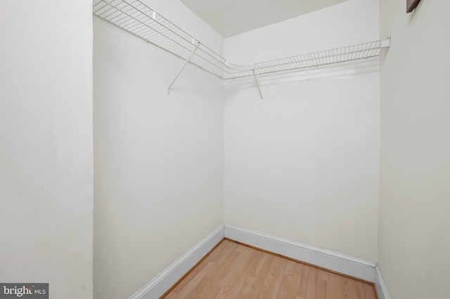 spacious closet featuring hardwood / wood-style flooring