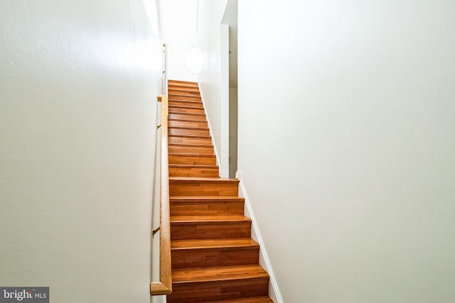 stairway with hardwood / wood-style floors