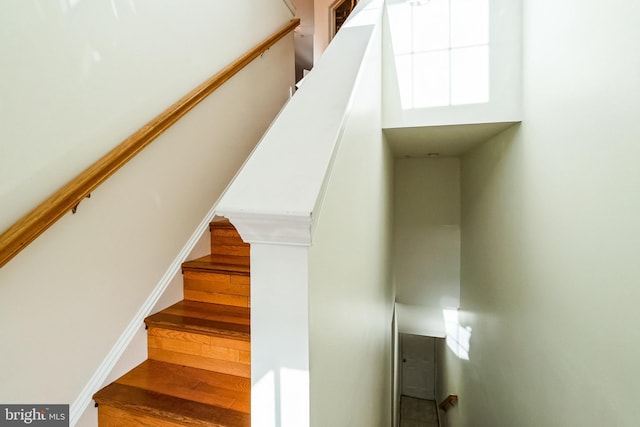 staircase featuring hardwood / wood-style flooring