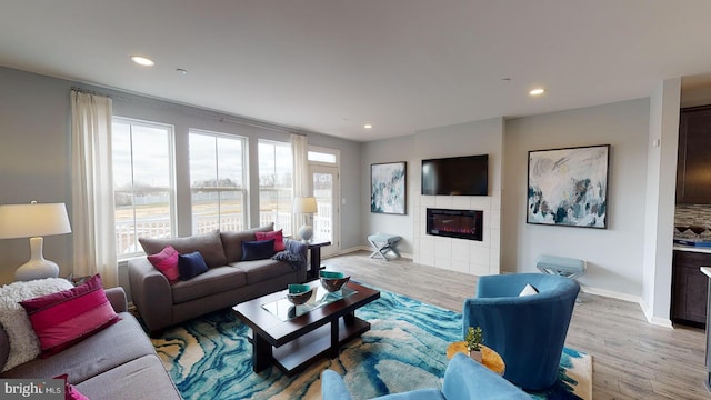 living room featuring a fireplace and light wood-type flooring