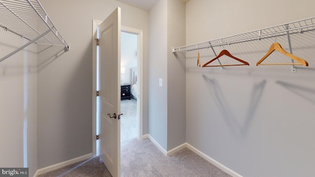 spacious closet with carpet flooring