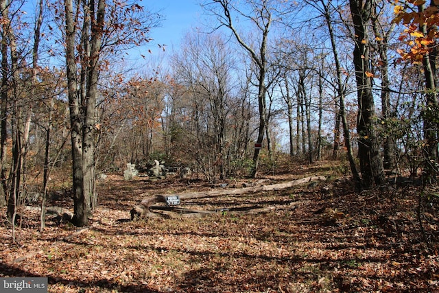 Bear Trl, Winchester VA, 22602 land for sale