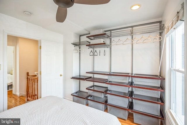 bedroom featuring ceiling fan and light wood-type flooring