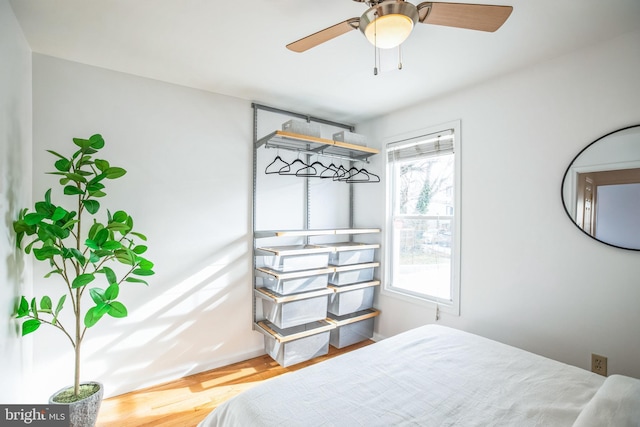 bedroom with hardwood / wood-style flooring, ceiling fan, and multiple windows