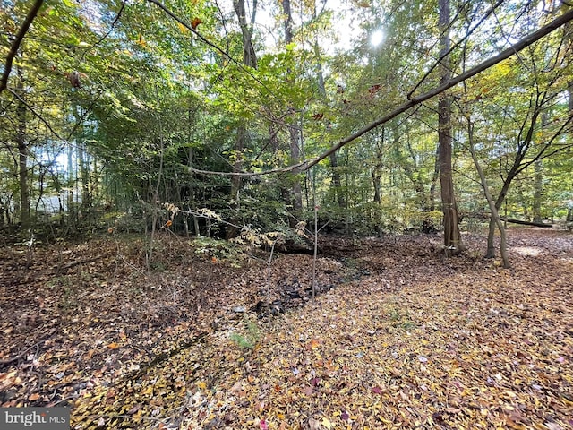 view of local wilderness