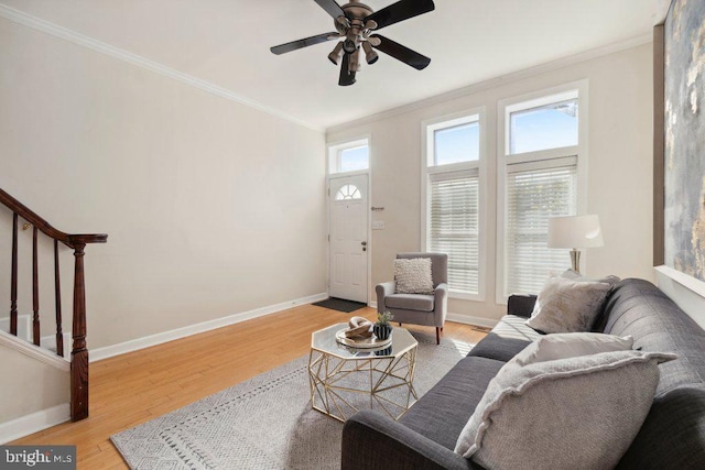 living room featuring ceiling fan, ornamental molding, a healthy amount of sunlight, and light wood-type flooring