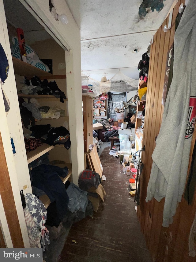 walk in closet featuring hardwood / wood-style flooring