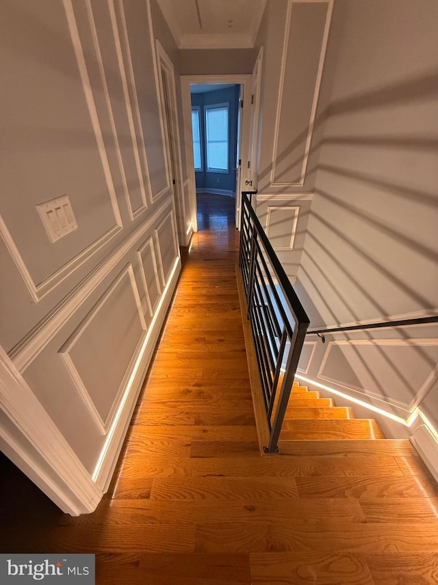 5111 Warrington Ave, Philadelphia, PA 19143 - corridor with a decorative wall, wood finished floors, and crown molding
