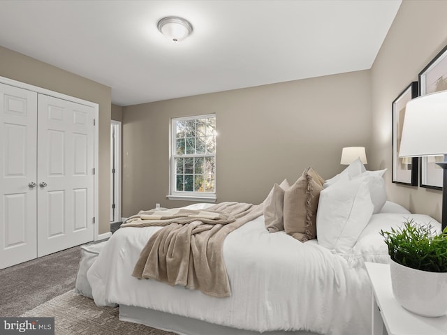 bedroom featuring a closet and carpet