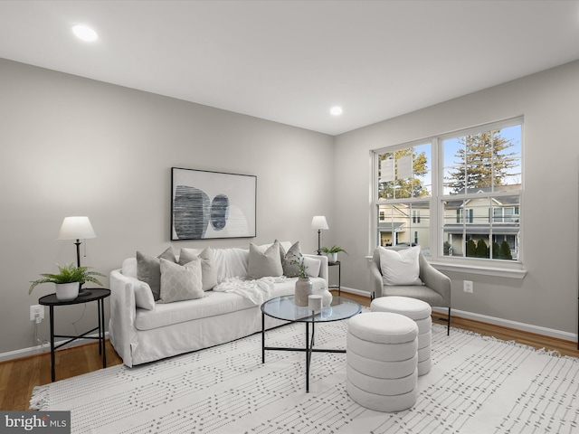 living room featuring hardwood / wood-style floors