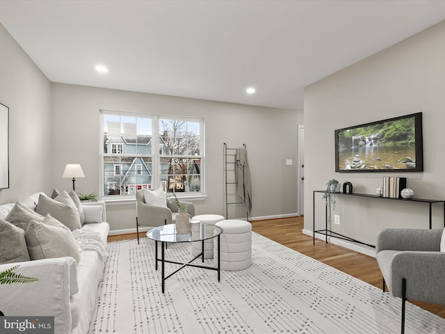 living room featuring wood-type flooring