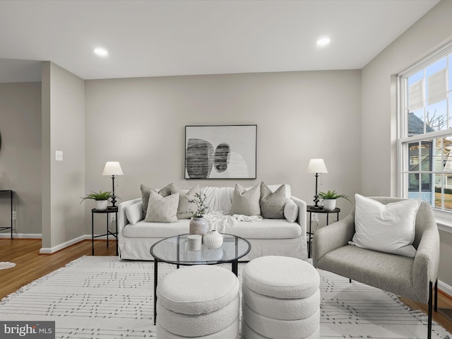 living room featuring light wood-type flooring