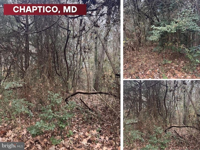 Mill Point Rd, Chaptico, MD 20621