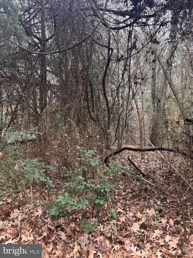 Mill Point Rd, Chaptico, MD 20621