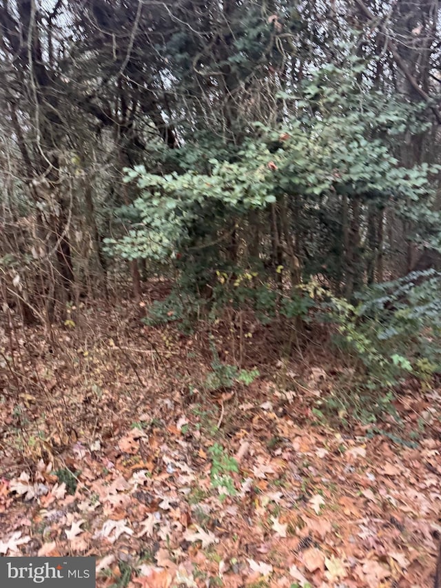 Mill Point Rd, Chaptico, MD 20621