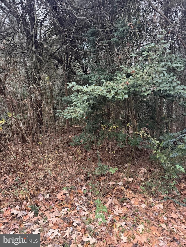 Mill Point Rd, Chaptico, MD 20621